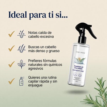 Volumen Instantáneo   Romero & Arroz