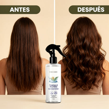 Volumen Instantáneo   Romero & Arroz