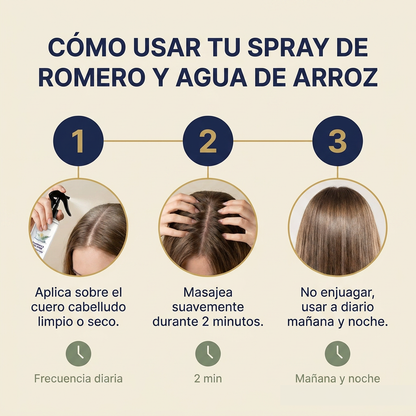 Volumen Instantáneo   Romero & Arroz